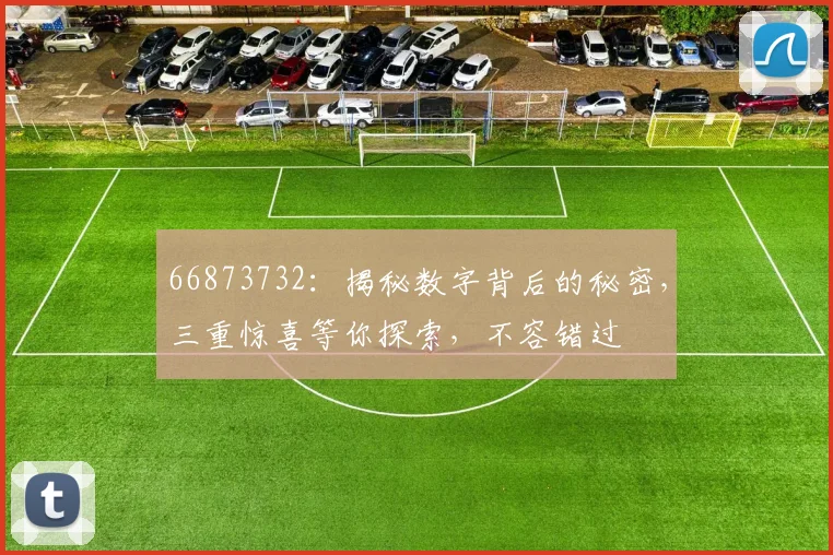 66873732：揭秘数字背后的秘密，三重惊喜等你探索，不容错过
